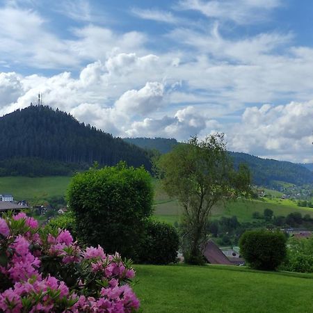 Traumblick Fewo Mit Pool Baiersbronn Exterior photo