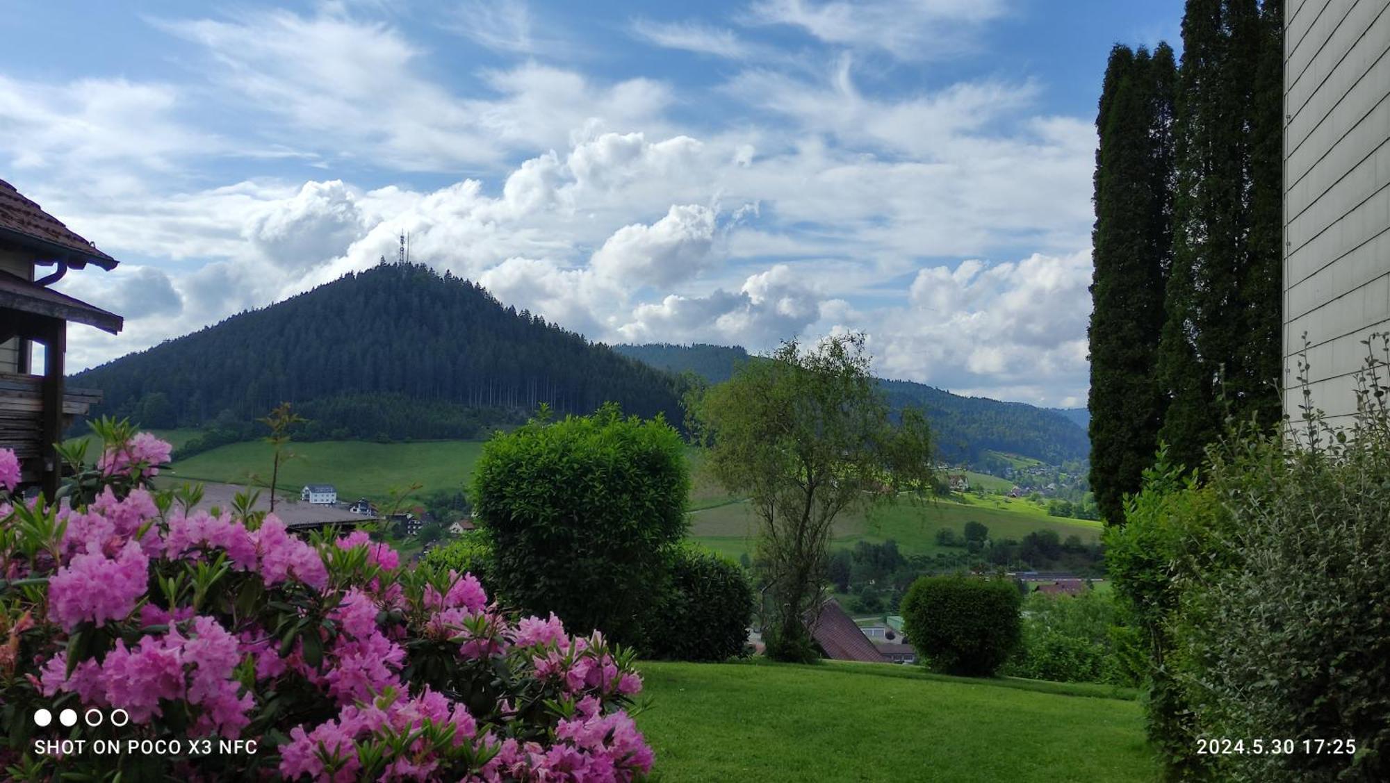 Traumblick Fewo Mit Pool Baiersbronn Exterior photo